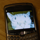 Illustration for article titled T-Mobiles Wi-Fi BlackBerry Curve Is Fo Real and Quite Tasty